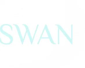 Swan beauty studio 